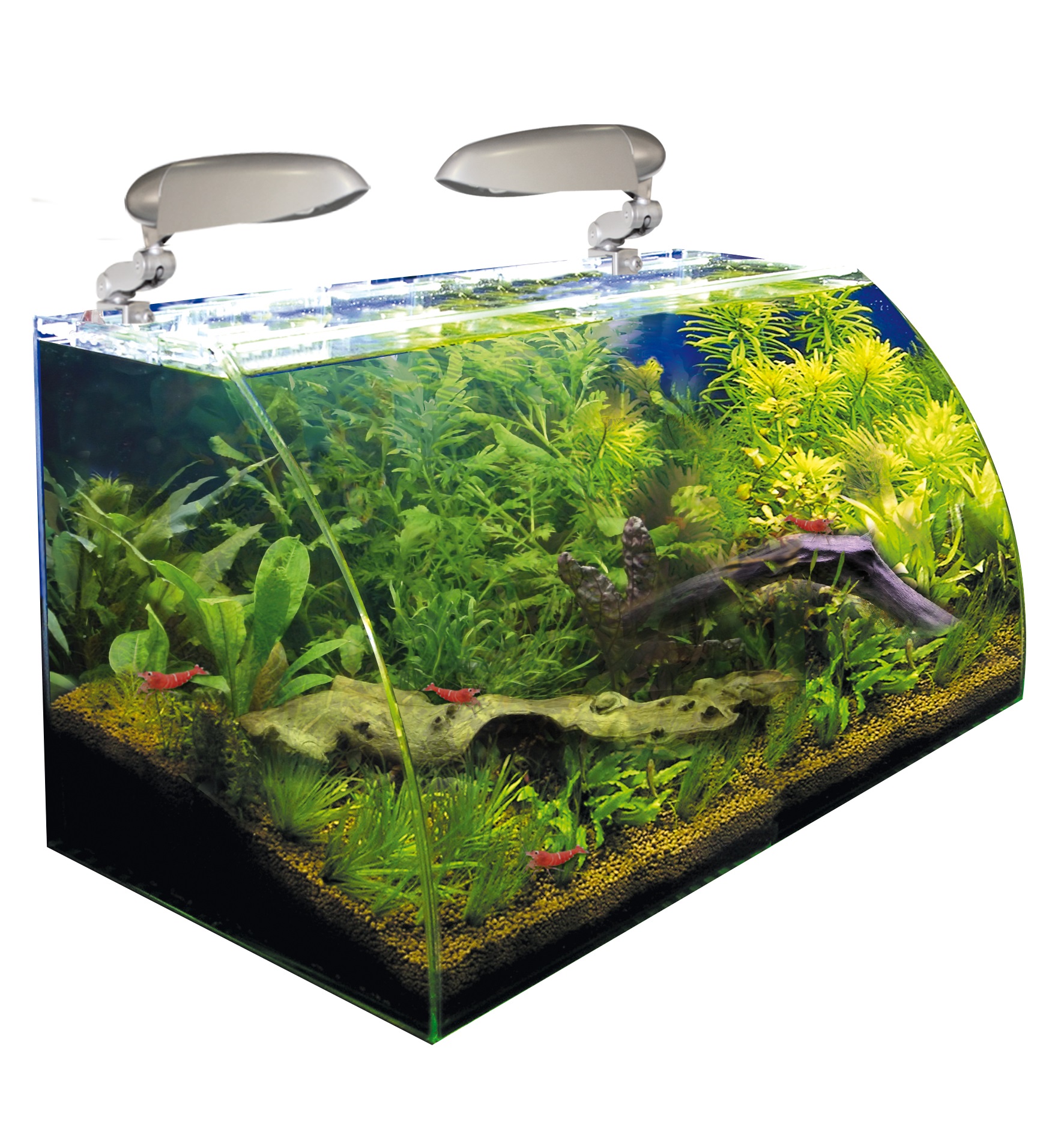 Acquario wave box vision 60x30x36h con 2 lampade e filtro