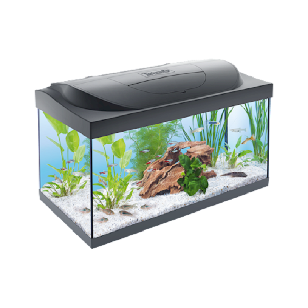 Acquario Tetra Starter Line con supporto e accessori