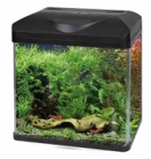 Nano acquario wave laguna 30 30x23x34h 20lt con filtro e led