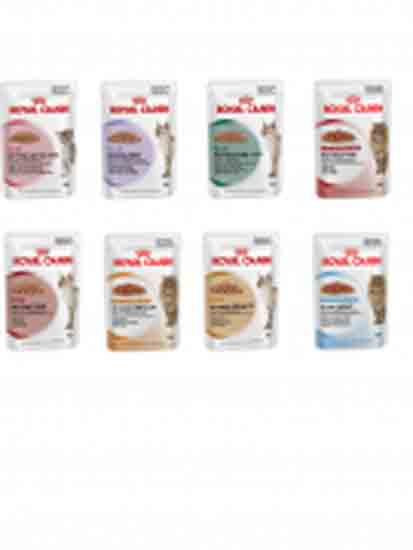 10 Hairball gravy umido per gatti bustine royal canin 85 grammi