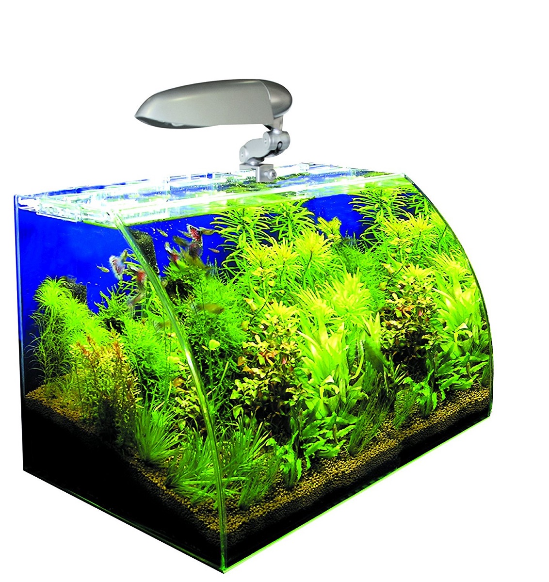 Acquario wave box vision 45 cosmos 45x30x30 con filtro e lampada