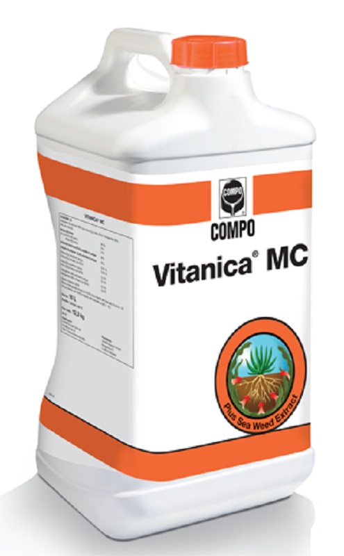 Concime Fogliare Vitanica Mc per Olivo e Vigneto - 10 Litri di Nutrimento Naturale per Piante Sane e Rigogliose | Articoli per A
