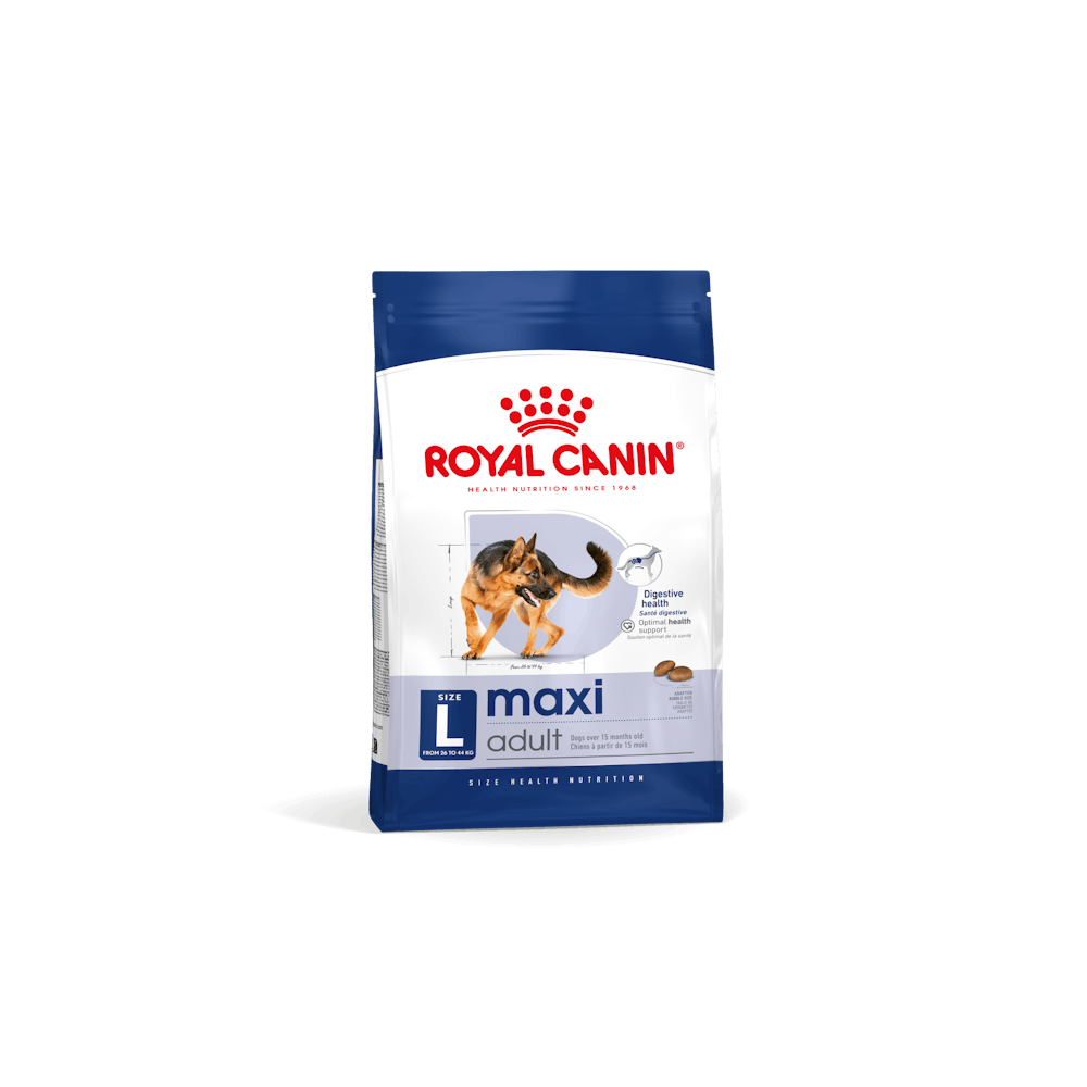 Crocchette cane royal canin maxi adult 12kg