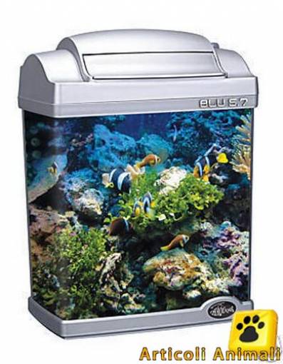 Acquario mini professionale 6