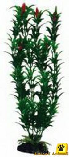 Piante acquario wave classic egeria flowers lg