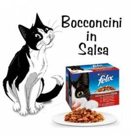 Bocconcini per gatti Felix 10 pezzi in salsa