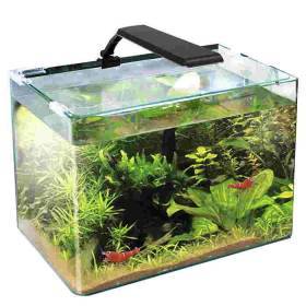 Acquario wave box  45x28x30h con lampada e filtro